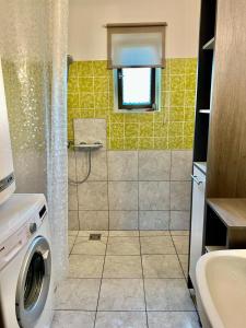 een badkamer met een douche en een wasmachine bij Ferienwohnung am Mattsee in Guggenberg