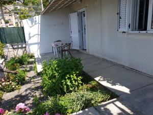 Foto dalla galleria di Apartments Bajo - FREE PARKING a Dubrovnik