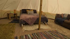 a bedroom with a bed in a tent at Ffos Wilkin Glamping & Alpacas in Kidwelly