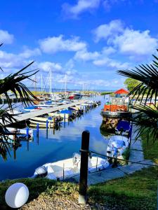 um grupo de barcos ancorados numa doca na água em Marina Martinshafen em Sassnitz