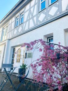 a building with a tree with pink flowers in front of it at Apartments im Chateau d'Esprit in Höhr-Grenzhausen