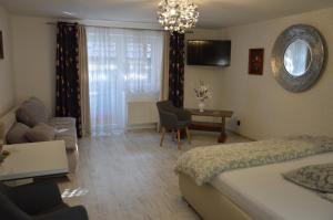 Televízia a/alebo spoločenská miestnosť v ubytovaní Hotel Olga