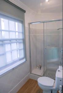 uma casa de banho com um chuveiro, um WC e uma janela. em Habanitas em Santa Cruz de la Palma