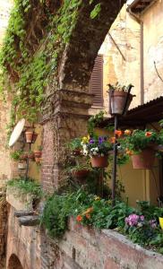 a garden with flowers and plants in it at Hotel Umbria in Perugia