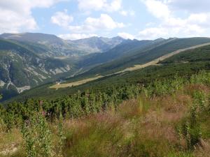 uma vista para um vale com montanhas ao fundo em Borovets Apartments, Iglika 2 em Borovets