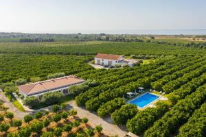 an aerial view of a villa in a vineyard with a swimming pool at Quinta Dos Perfumes in Tavira