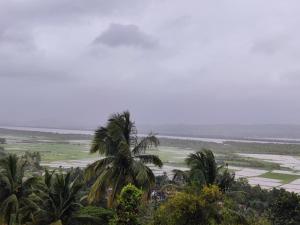 una palmera frente a un campo y el océano en WhiteHouse Home stay by Oxystays en Alibaug