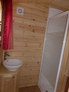 uma casa de banho com um lavatório e um chuveiro em La Roulotte de Bourgogne em Brianny