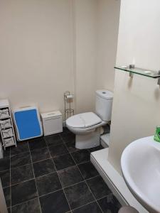 a bathroom with a toilet and a sink at The Hayloft in Falkland