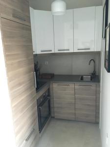 a small kitchen with white cabinets and a sink at Apartman ENA in Ivan Dolac +5 photos