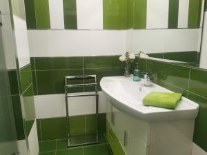 baño verde y blanco con lavabo y espejo en Casa Gomez, en Santa Cilia de Jaca