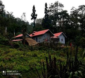 una casa con techos rojos en un campo en Rinzeebong Homestay by StayApart, en Mangan