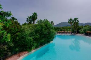 a swimming pool with blue water and palm trees at Il Monastero in Geremèas