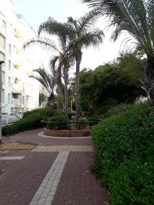 a brick walkway with palm trees in a park at Private room in the сomfortable apartment in Ashdod, 7 min walk to the beach in Ashdod