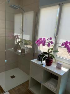 baño con ducha y maceta en un estante en L’oliveraie, en Robion en Luberon
