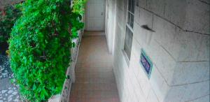 a hallway with plants on the side of a building at Beach Vue Barbados in Bridgetown