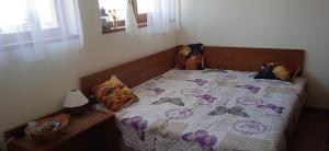 Легло или легла в стая в Пампорово студио Милка в хотел Росица