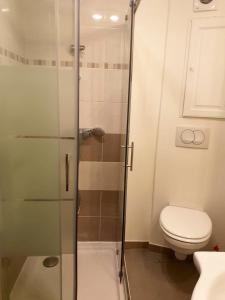 a bathroom with a shower and a toilet at Appartement à L'Isle-sur-la-Sorgue avec vue sur la ville in LʼIsle-sur-la-Sorgue +18 photos