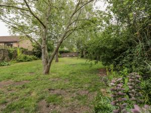 a tree in the middle of a yard at White Roses in Ross on Wye