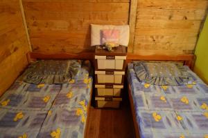 - 2 lits jumeaux dans une chambre avec des murs en bois dans l'établissement Drinski dragulj, à Višegrad