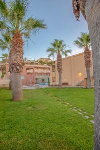 a row of palm trees in a park with a building at Anatoli Apartments in Agia Pelagia