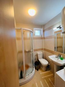 uma casa de banho com um chuveiro, um WC e um lavatório. em Studio Apartment 21 em Danilovgrad
