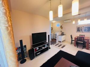 a living room with a television and a dining room at Studio Apartment 21 in Danilovgrad