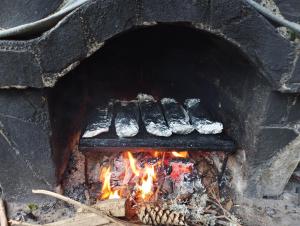 a group of pigeons sitting on top of a brick oven at Хижа Ловна в Рила in Panichishte