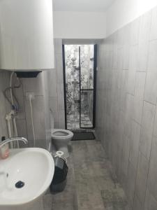 een badkamer met een wastafel en een toilet bij Apartament Brezoi in Brezoi