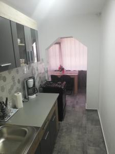 cocina con fregadero y sala de estar. en Apartament Brezoi, en Brezoi