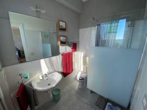 W łazience znajduje się umywalka, toaleta i lustro. w obiekcie Piccolo Nido in Alta Langa /Cosy Studio w mieście Levice