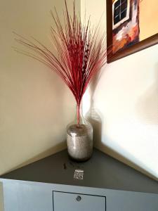 a vase with red grass in it sitting on a cabinet at Abrigo and Restaurant Portinho in Vila Praia de Âncora