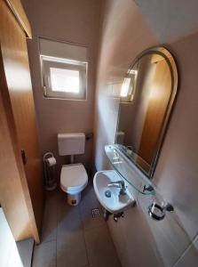a bathroom with a toilet and a sink and a mirror at Riverside Vacation House Mrežnica in Donji Zvečaj