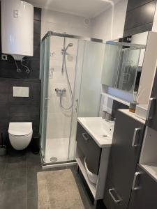 a bathroom with a shower and a toilet and a sink at Hiška Orel Terme Čatež in Čatež ob Savi