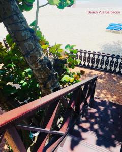 a bench sitting next to a tree next to the water at Beach Vue Barbados in Bridgetown