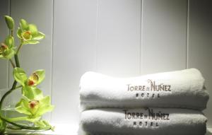 Fotografie z fotogalerie ubytování Hotel Torre de Núñez v destinaci Lugo