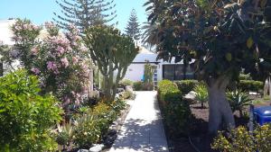プラヤ・デル・イングレスにあるStudio 2-6 Playa del Inglesの花木の庭園