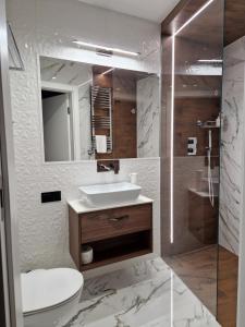 a bathroom with a sink and a toilet and a shower at Brossa Apartments, 24h self check in, Klima, AirCond in Wrocław