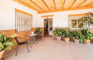 une terrasse avec des plantes, une table et des chaises dans l'établissement Cubo's Casa Rural El Alba, à Alhaurín el Grande