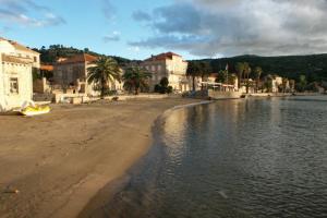 a beach with buildings and palm trees next to the water at Apartment Lopud 17200a in Lopud