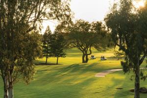 uma vista para um campo de golfe com árvores e um verde em Paniolo Greens Resort em Waikoloa