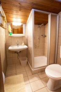 a bathroom with a shower and a sink and a toilet at Gästehaus Sunkler in Golling an der Salzach