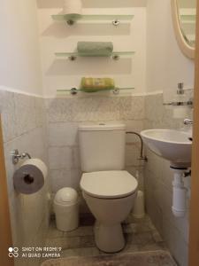 een badkamer met een toilet en een wastafel bij Pension Fanlor in Zubčická Lhotka
