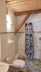 ein Bad mit einem WC und einem Waschbecken in der Unterkunft Maurushaus in Füssen
