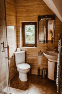 małą łazienkę z toaletą i umywalką w obiekcie Konkelówka- Dom z ogrodem i sauną, Góra Żar i jezioro w Międzybrodziu Żywieckim
