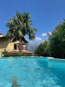 a palm tree in front of a house with a swimming pool at Relais Garden Lecco in Valmadrera