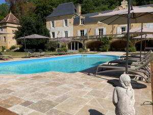 Château d'Argentonesse内部或周边的泳池