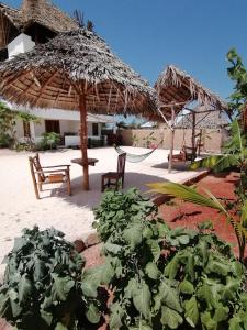 a patio with two chairs and a straw umbrella at New Arisen Bungalows in Bwejuu