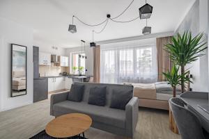 uma sala de estar com um sofá e um quarto em Grelewicz Apartments- MyWay em Toruń