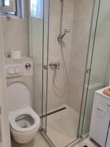 a bathroom with a shower and a toilet at Apartman Mela Kop 11 in Kopaonik